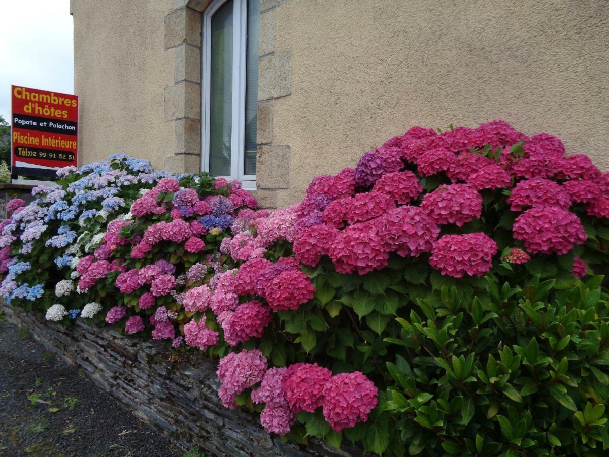Bed and Breakfast Popote Et Polochon Saint-Martin-sur-Oust Экстерьер фото